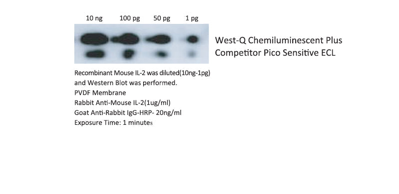 West-Q Chemiluminescent Substrate Kit, Plus