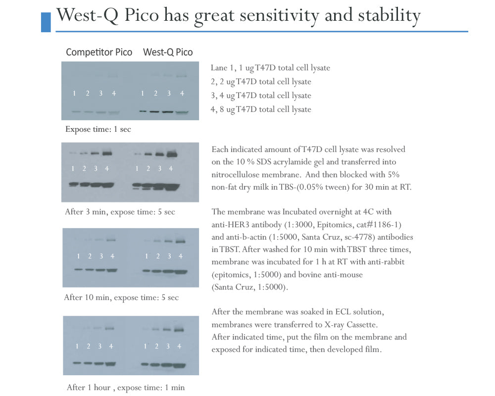 West-Q Pico ECL Solution