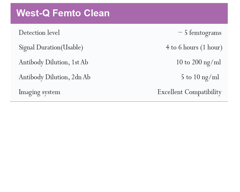 West-Q Femto Clean ECL Solution 100ml