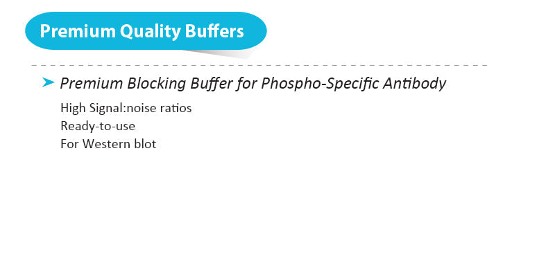 West-EZier Super Blocking Buffer, Phospho Specific