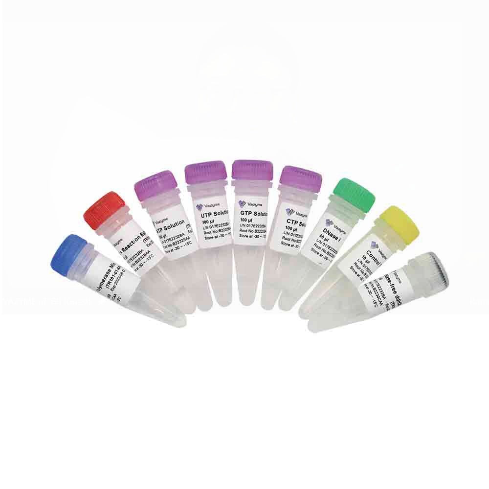 T7 High Yield RNA Transcription Kit TR101