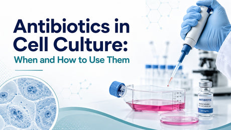 Antibiotics