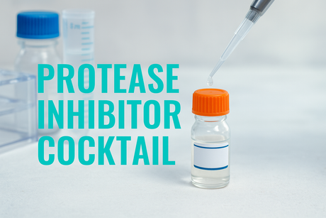 Protease Inhibitor Cocktail