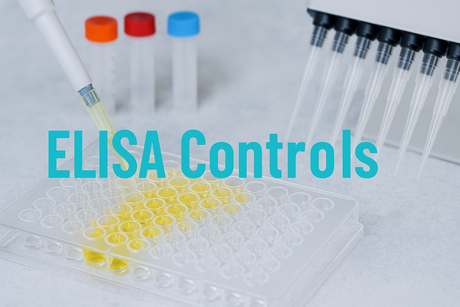 ELISA Controls: