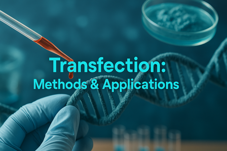 Transfection Explained – Methods, Applications & Advances