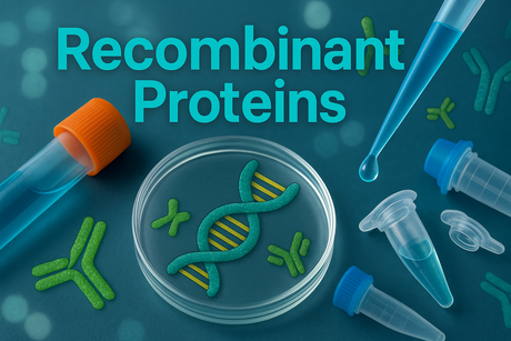 Recombinant Protein