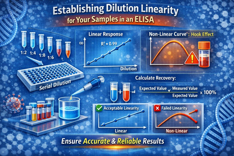 Dilution linearity