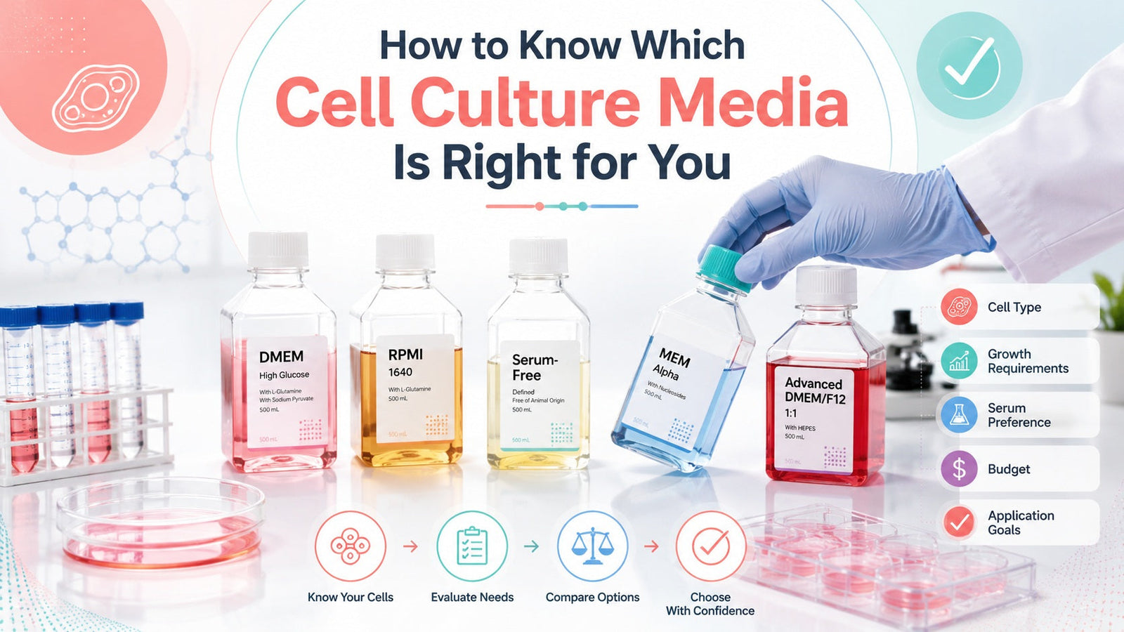 cell culture media
