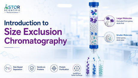 size exclusion chromatography
