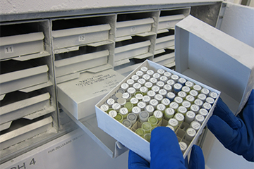 Biobanking Sample Storage
