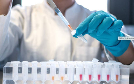 Lab Reagents