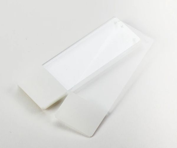 Fisherbrand™ Superfrost™ Plus Microscope Slides, 25 x 75mm, Glass, White, ¾" SuperFrost Tab, 2 Packs of 72 (144/Pack)