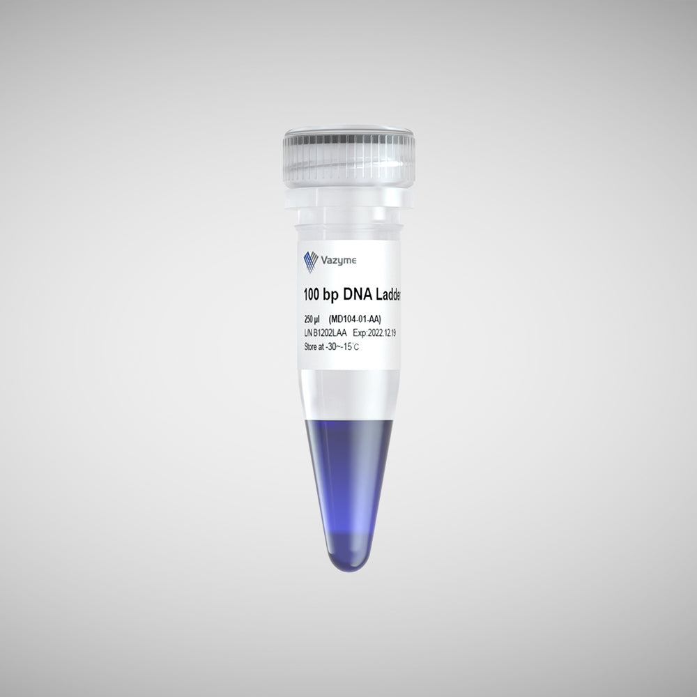 100 bp DNA Ladder – Ready-to-Use Gel Reference – AstorScientific