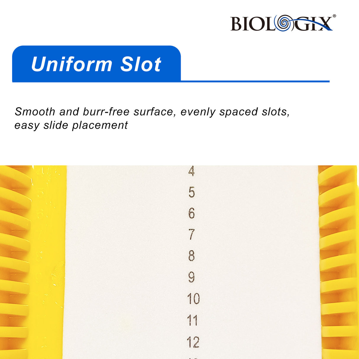 Biologix® Slide Storage Boxes with Foam/Cork Lining  (25 Place), 5/Pack, 20/Case