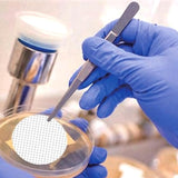 MCE Gridded Membrane Filter, Individual Pack, white, black grid, sterile, 0.45μm, 47mm, 100 Pcs/Box