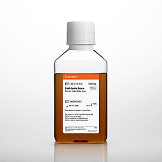 How to Use and Choose Fetal Bovine Serum for Cell Culture – AstorScientific