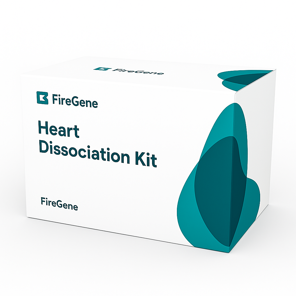 Heart Dissociation Kit – Cardiomyocyte-Ready