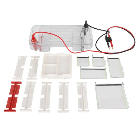 Horizontal Electrophoresis Apparatus, 4 Gel Tray Options, 700 ml Buffer Capacity