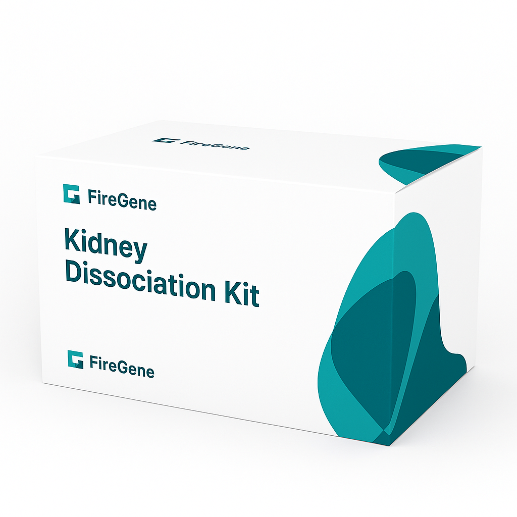 Kidney Dissociation Kit – Enzymatic Single-Cell Isolation