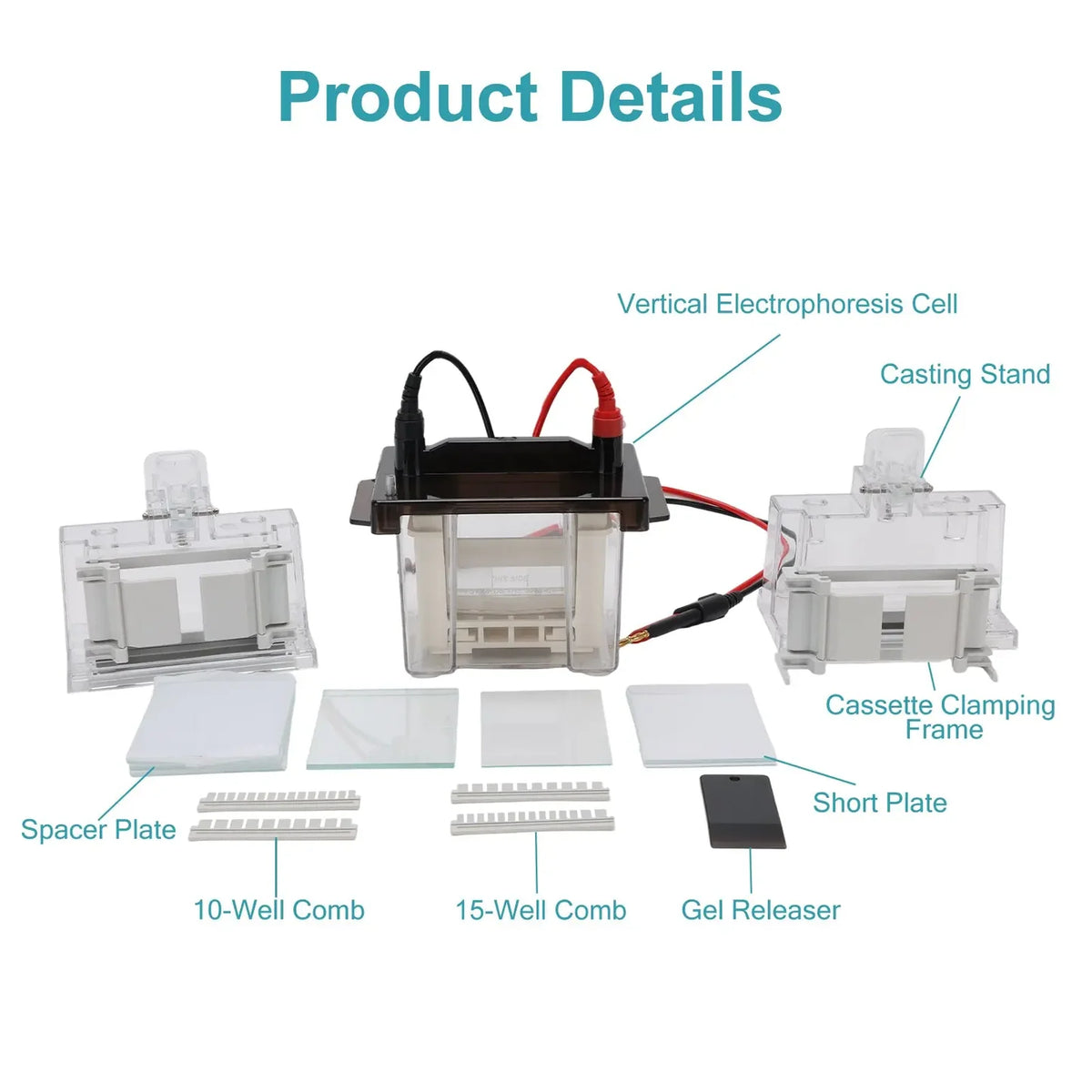 Mini Vertical Electrophoresis Apparatus, 83x73 mm Gel Area, 0.75/1/1.5 mm Thickness for SDS-PAGE & Native PAGE