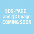 Astor Scientific SDS-PAGE for this recombinant protein coming soon.
