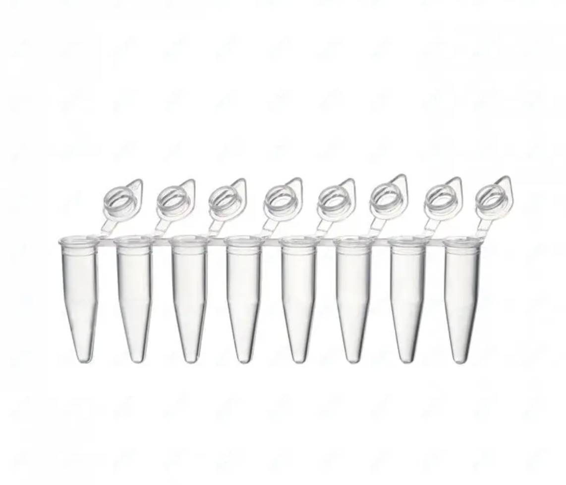 Astor Scientific 0.2ml strip PCR tube with connected cap,125pcs/bag