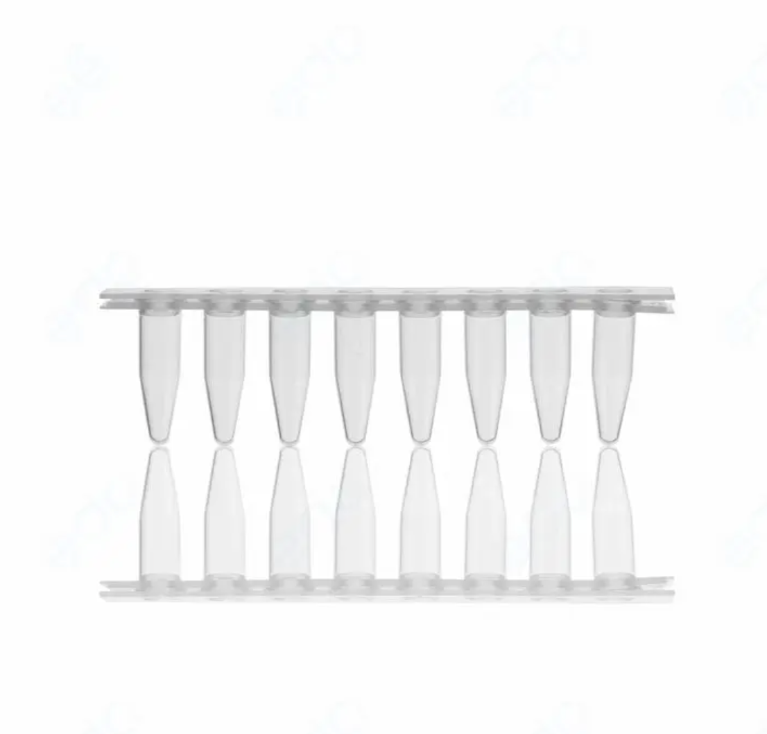Astor Scientific 0.2ml strip PCR tube with connected cap,125pcs/bag