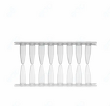 Astor Scientific 0.2ml strip PCR tube with connected cap,125pcs/bag