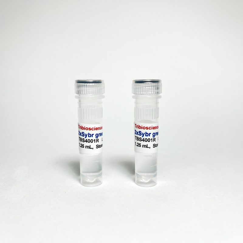 Tribo™ 2x Sybr qPCR Super Mix