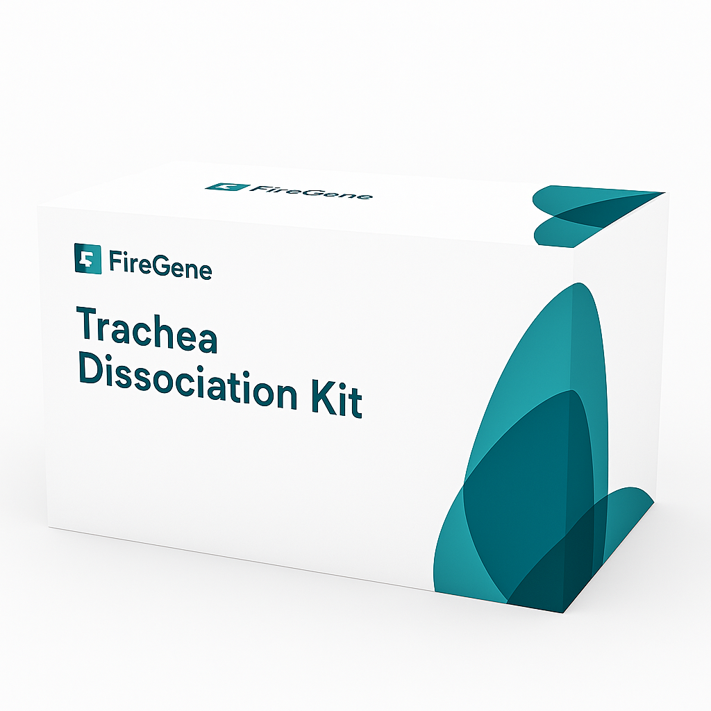Trachea Dissociation Kit – Respiratory Cell Isolation