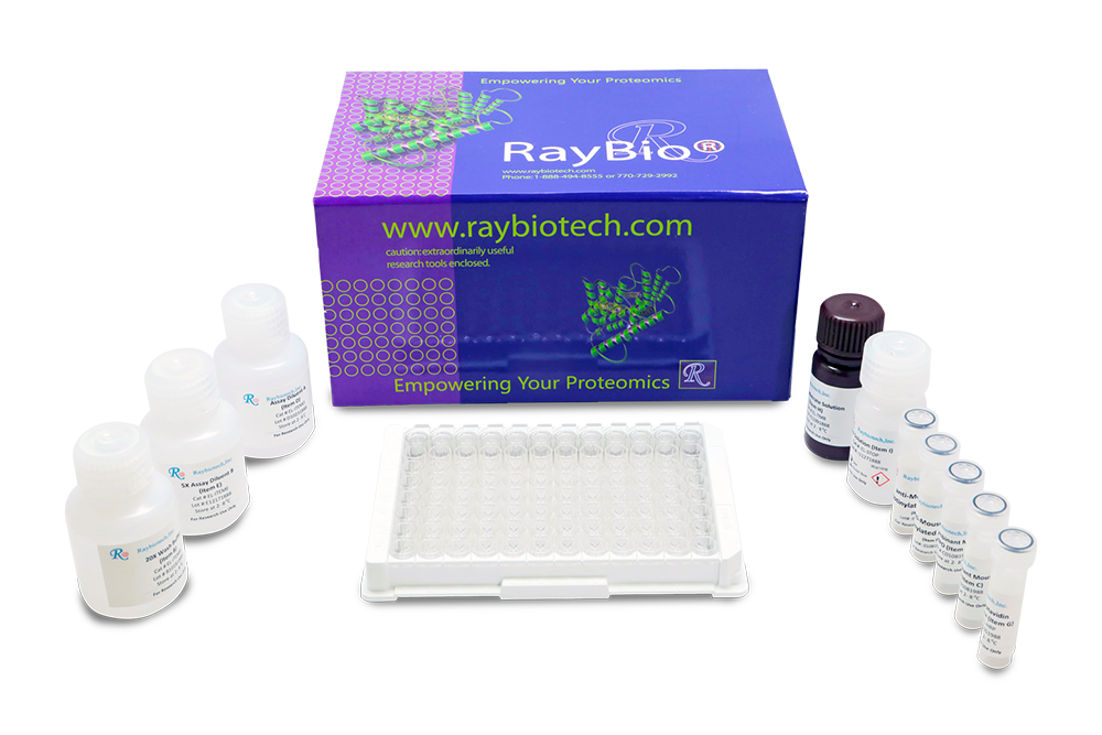 Mouse Adiponectin ELISA Kit