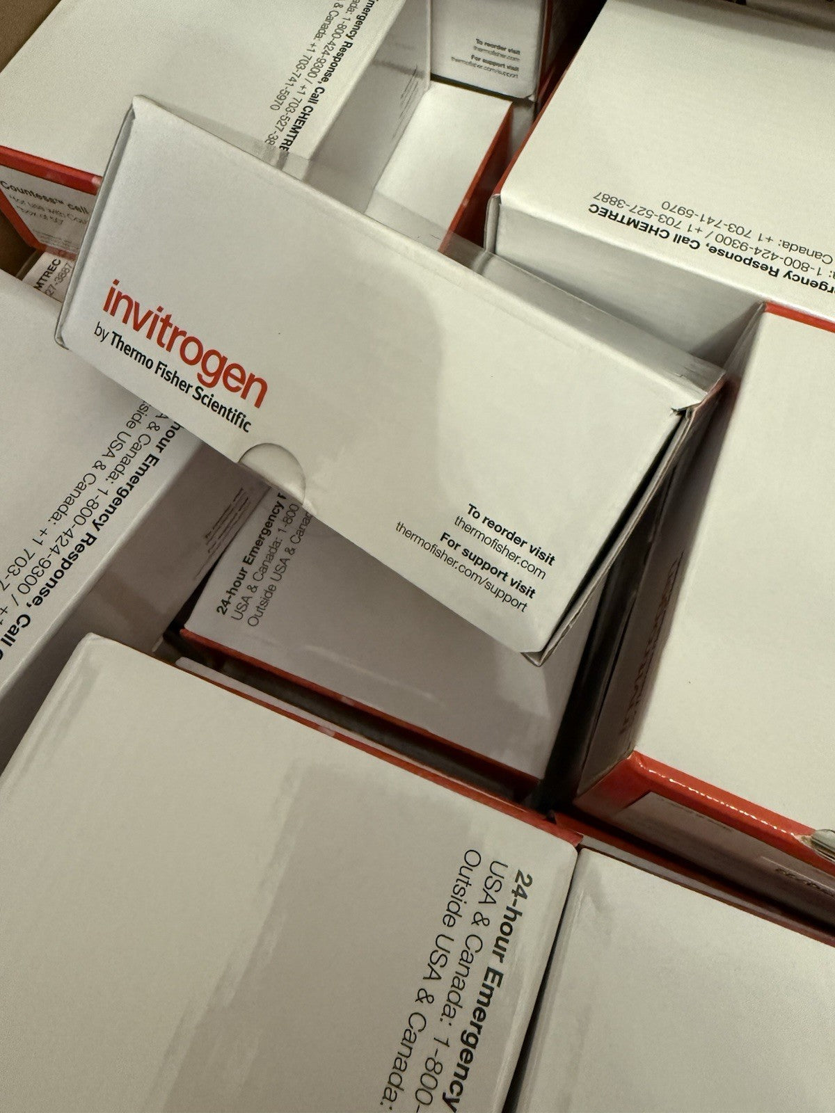 Invitrogen™ Countess™ Cell Counting Chamber Slides and Holder, disposable (C10283)-Limited quantity