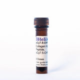 In Vivo | Collagen Hybridizing Peptides, sulfo-Cy7.5 Conjugates (sCy7.5-CHP)