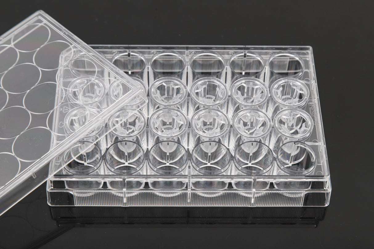 NEST 12 Cell Culture Inserts+24 Well Plate, PET Membrane, TC, Sterile, 12/pk, 120/cs