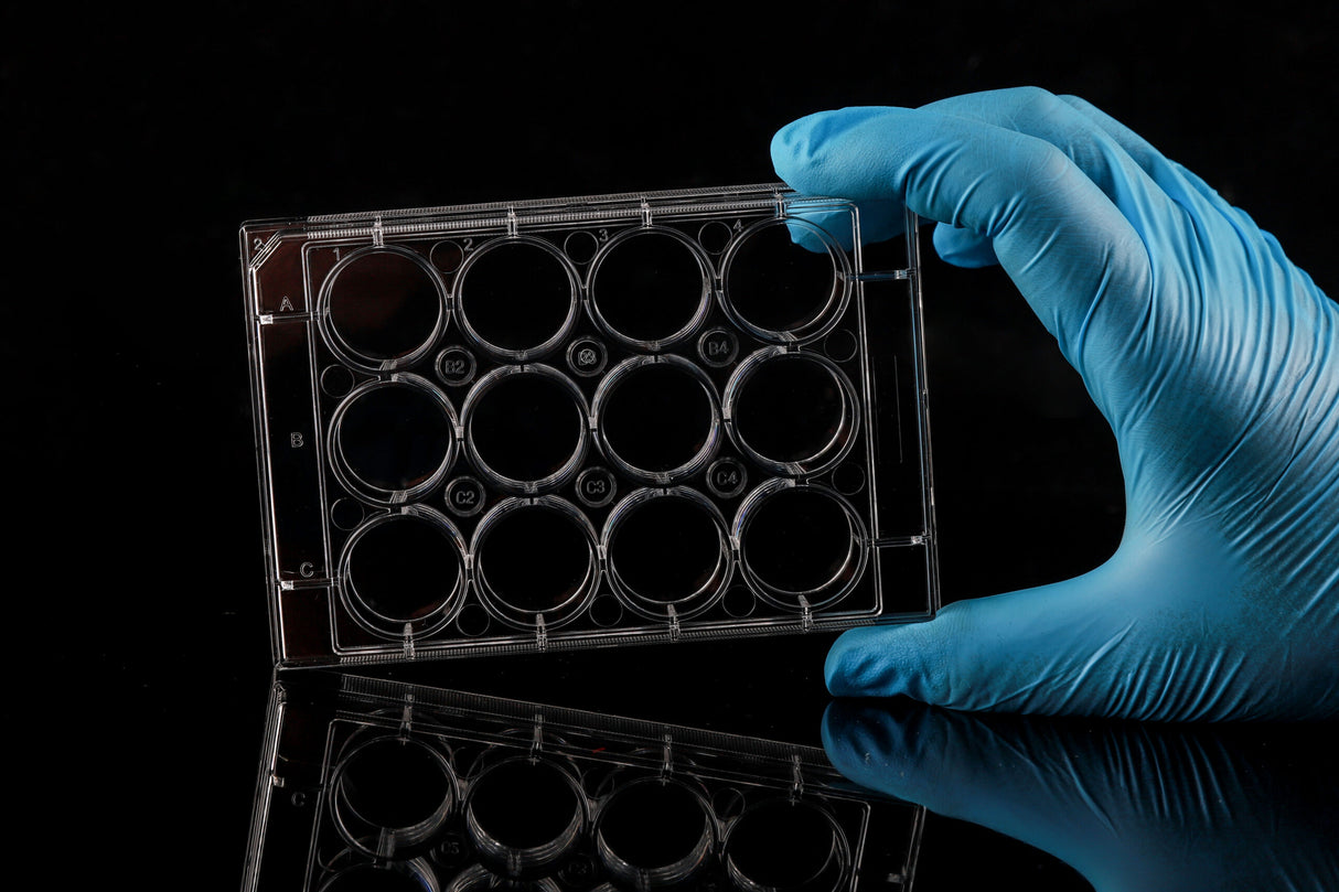 NEST Cell Culture Plate, Non-Treated, Flat, Sterile, 1/pk (6-384 well)