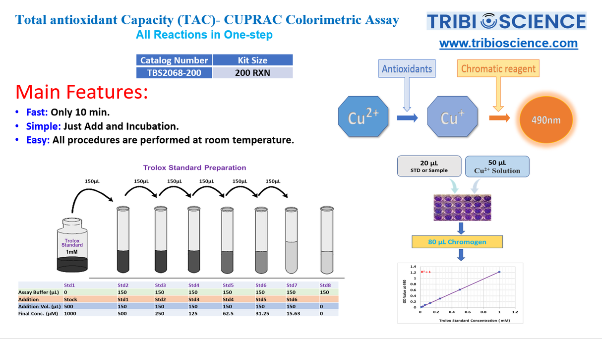Total Antioxidant Capacity (TAC)- CUPRAC Colorimetric Assay