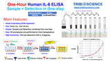 Tribo™ Mouse IL-2 ELISA Kit