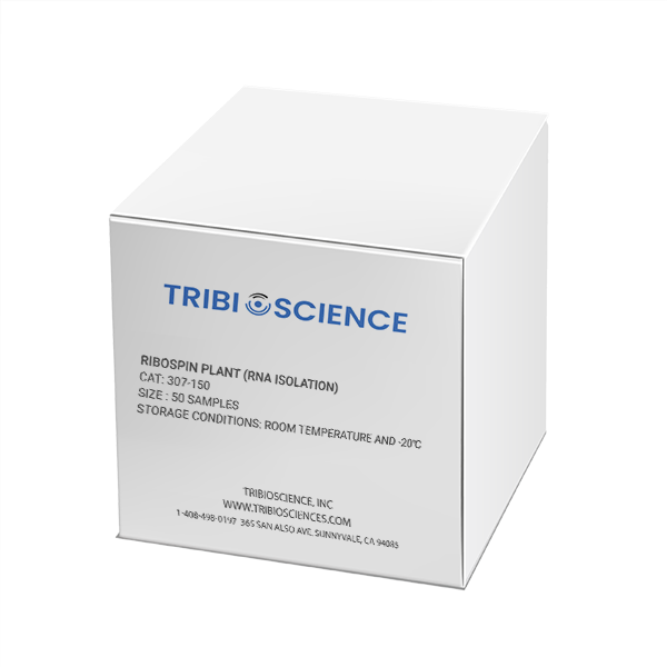 Ribospin Plant (RNA isolation)