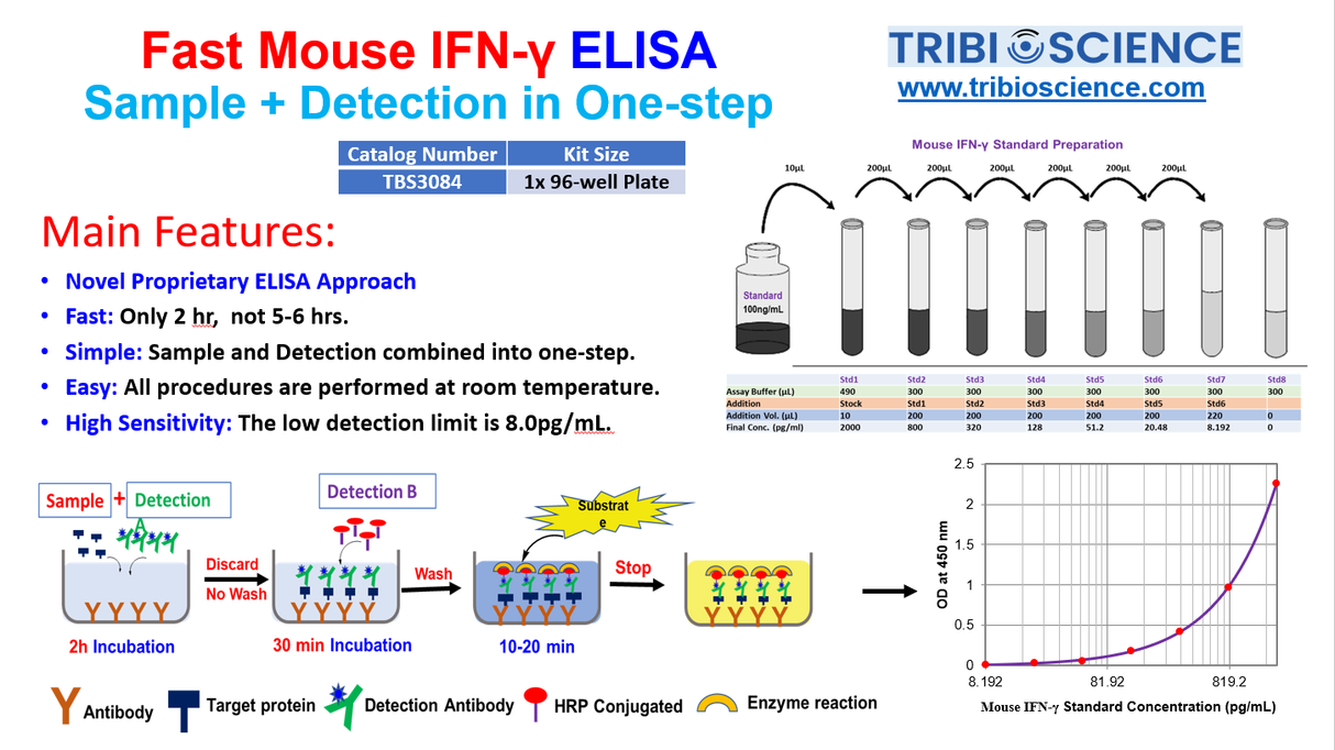 Tribo™ Mouse IFN γ ELISA Kit