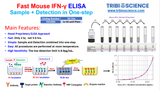 Tribo™ Mouse IFN γ ELISA Kit