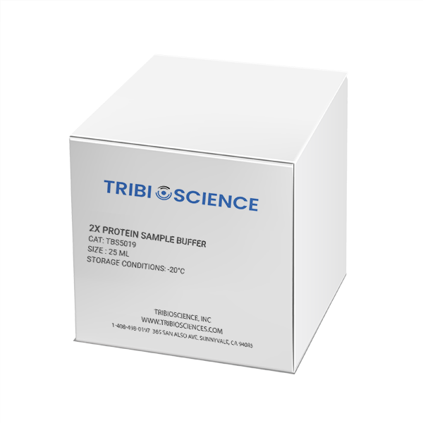 2x Protein Sample Buffer