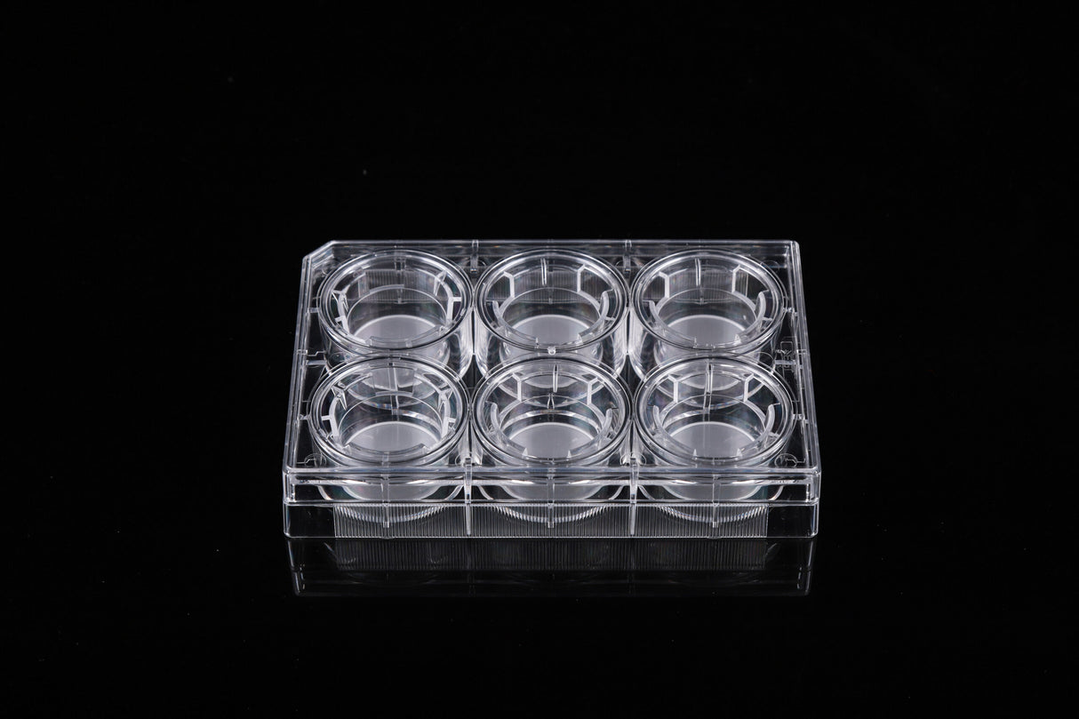NEST 6 Cell Culture Inserts+6 Well Plate, PET Membrane, TC, Sterile, 6/pk, 60/cs