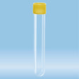  Screw cap tube, 13 ml,  101 x 16.5 mm, PP, 500 Piece(s)