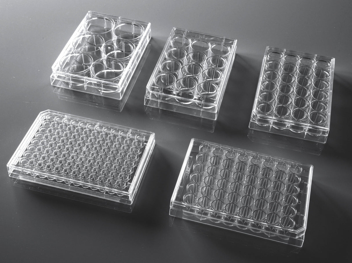 NEST Cell Culture Plate, Flat, TC, sterile 1/pk