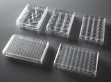 NEST Cell Culture Plate, Flat, TC, sterile 1/pk