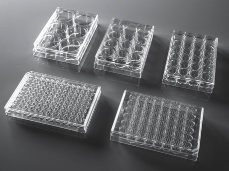 NEST Cell Culture Plate, Flat, TC, sterile 1/pk