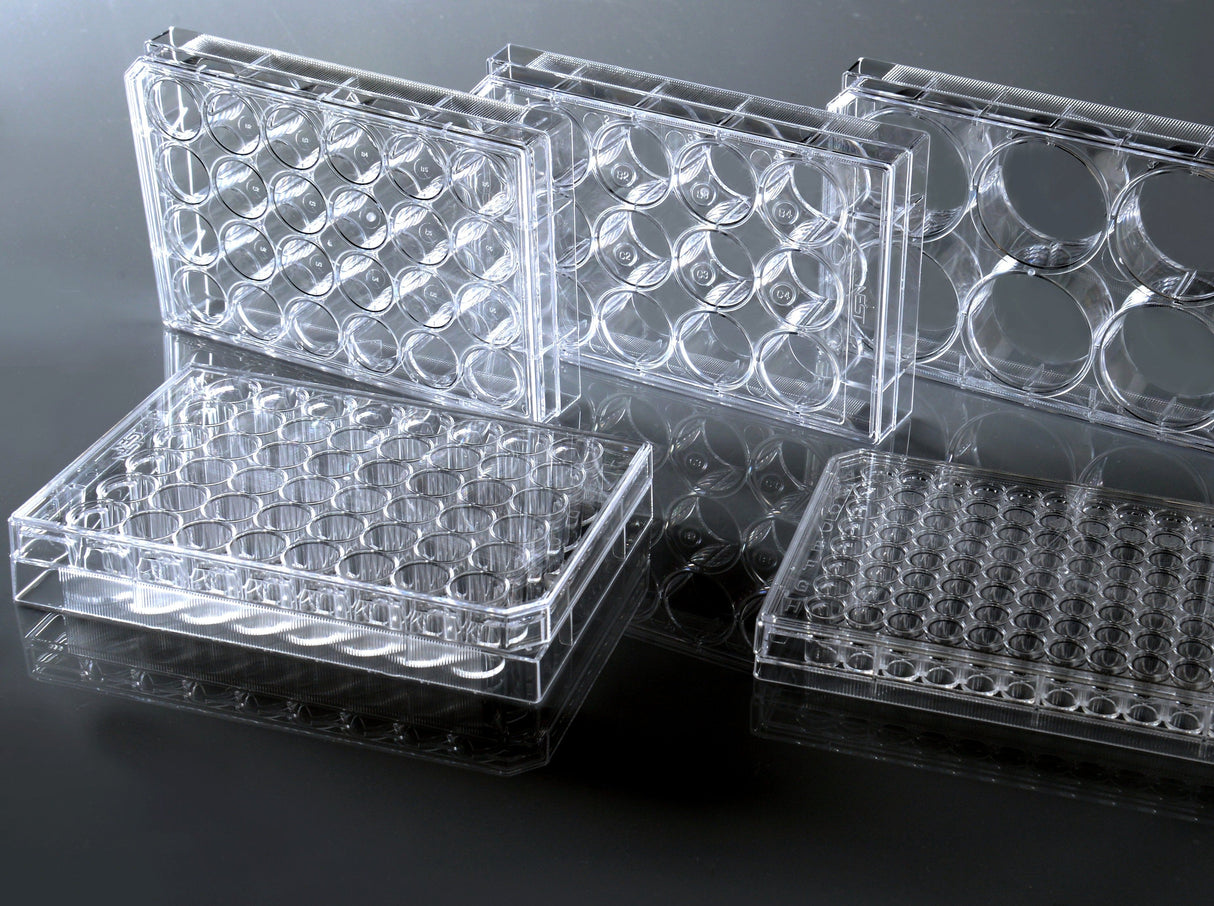 NEST Cell Culture Plate, Non-Treated, Flat, Sterile, 1/pk (6-384 well)