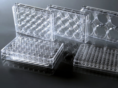 NEST Cell Culture Plate, Non-Treated, Flat, Sterile, 1/pk (6-384 well)