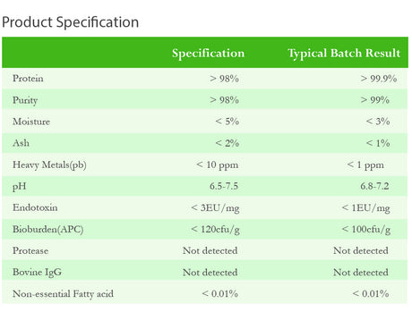 Albumin, Ultra Pure Bovine Serum Albumin