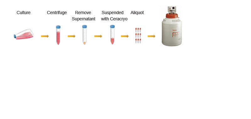 Ceracryo Xeno-Free Cell Freezing Media